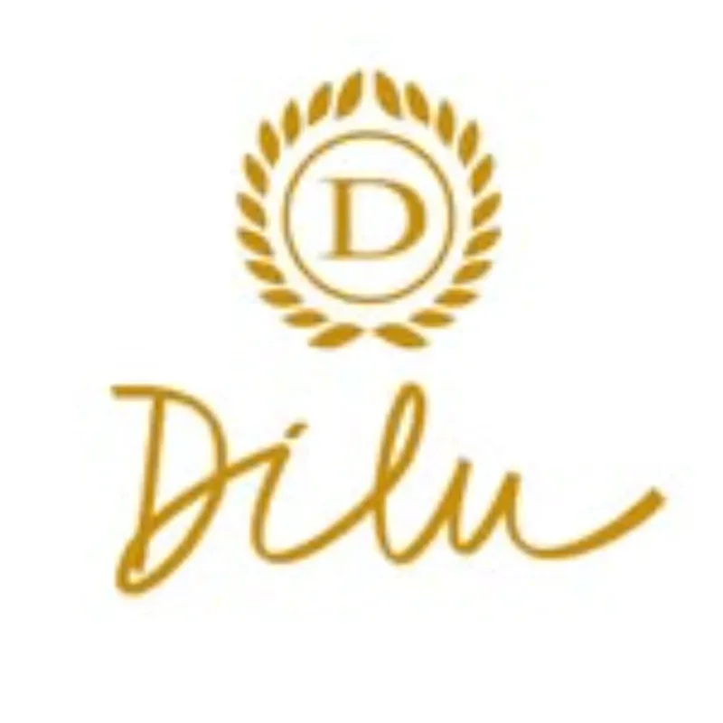 Logo Dilu Jóias